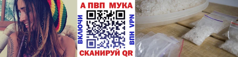 дарнет шоп  Новозыбков  A PVP крисы CK 