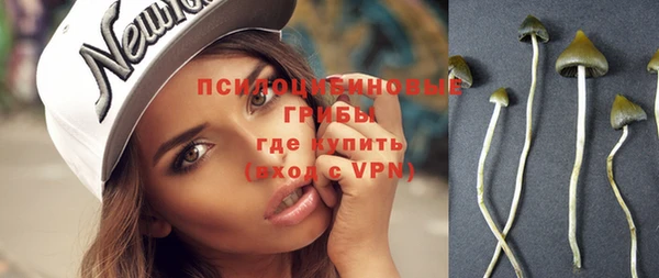 индика Горняк