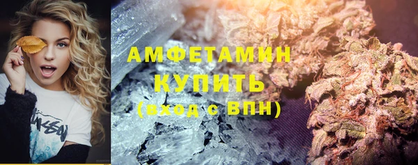 дживик Вязьма