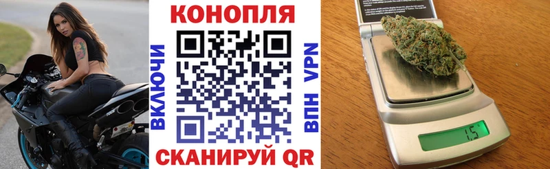 площадка официальный сайт  Новозыбков  Шишки марихуана SATIVA & INDICA  купить  